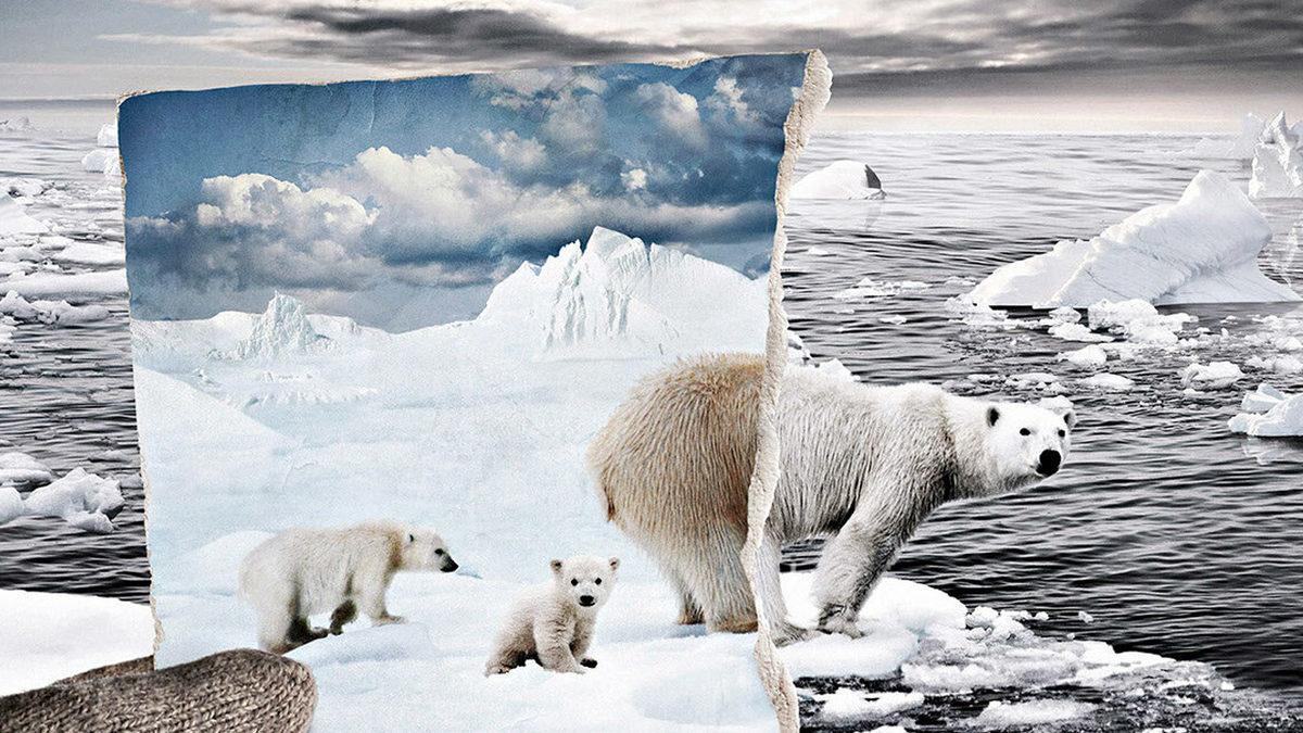 New York ve Miami 75 Yıl Sonra Haritadan Silinecek mi? Milyonlarca Kişi Göç Etmek Zorunda Kalabilir!