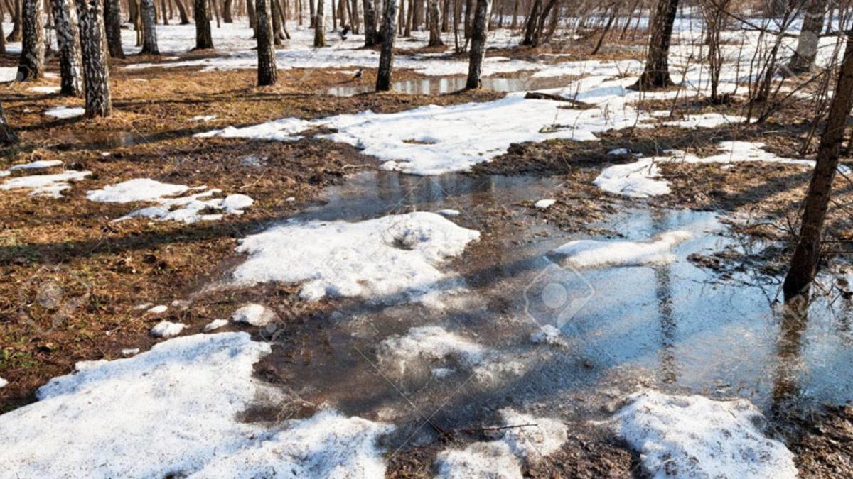 Karın Ağaç Diplerinden Erimeye Başlamasının Doğaya Bir Kez Daha Saygı Duymamızı Sağlayacak Sebepleri