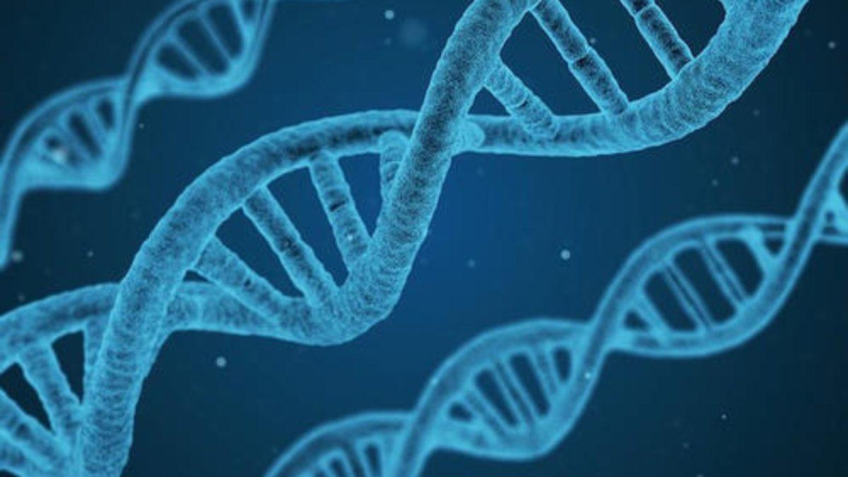 Genlerin Sigara ve Alkol Alışkanlıklarında Psikolojik ve Çevresel Faktörler Kadar Etkili Olduğunu Ortaya Koyan Çarpıcı Araştırma