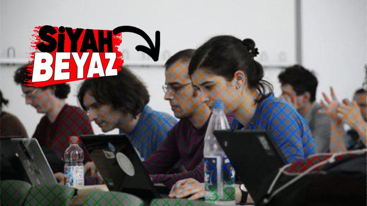 Bu Fotoğraf Aslında Siyah Beyaz! O Hâlde Neden Renkli Görüyoruz?