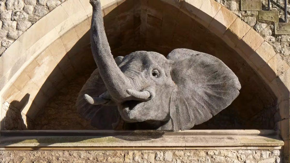 Londra Kulesi’nin Ardındaki Sır Perdesini Kaldırıyoruz: Bir Zamanlar Yüzlerce Hayvan Neden Burada Tutuldu?