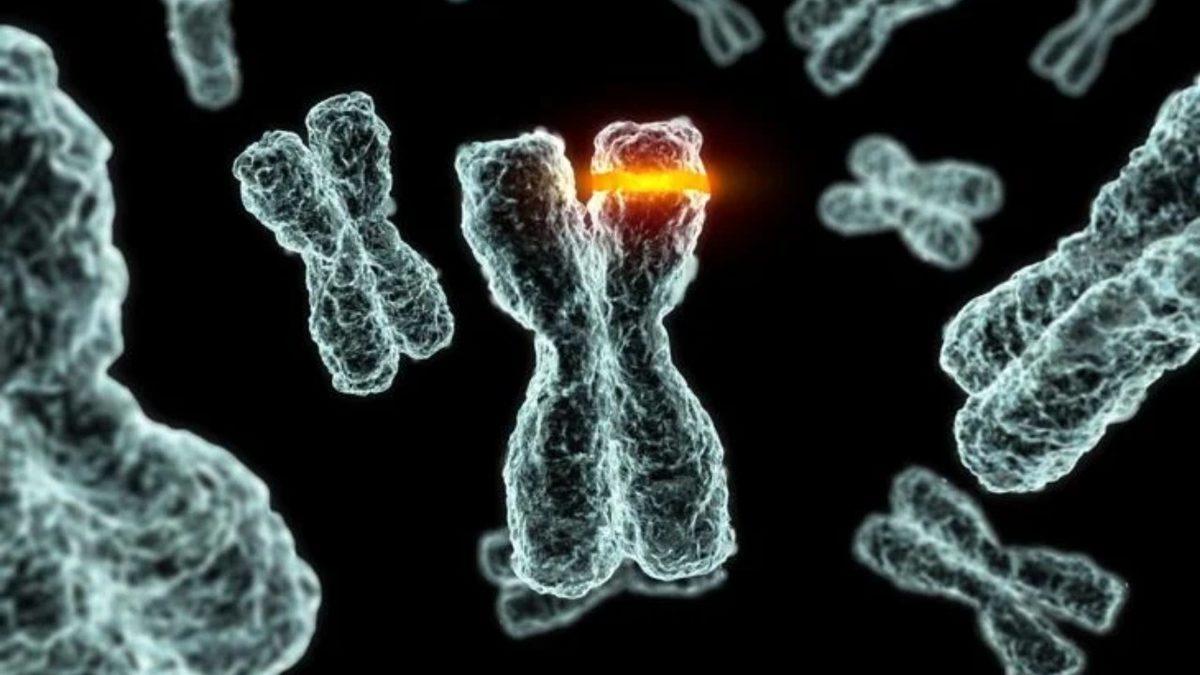 Yakalananları Kör ve Sağır Eden ’Norrie Hastalığı’na Dair Çarpıcı Detaylar: Büyük Oranda Erkekleri Etkiliyor!