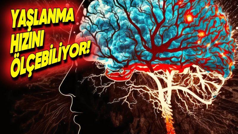Beynimizin Ne Kadar Hızlı Yaşlandığını Ölçebilen Yapay Zekâ Modeli Geliştirildi