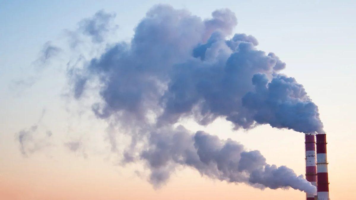 Dondurucu Soğuklardan Anlam Verilemeyen Hastalıklara: İklim Değişikliklerinin Sebep Olduğu Problemleri Artık Neden Ağaç Dikerek Çözemiyoruz?