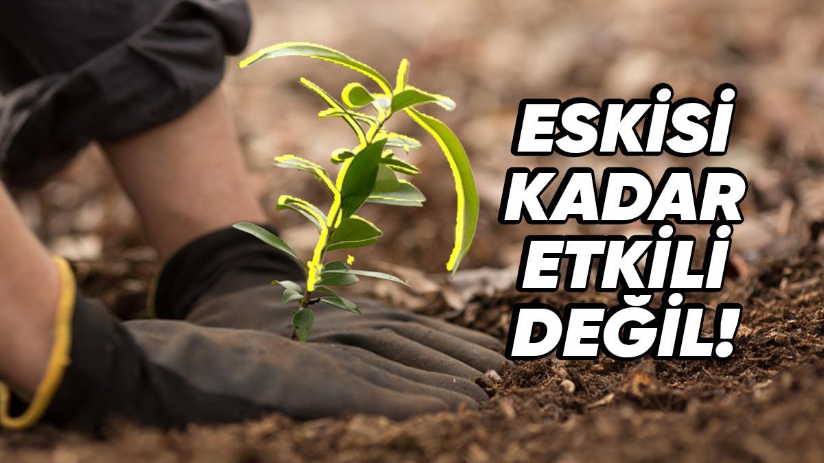 Dondurucu Soğuklardan Anlam Verilemeyen Hastalıklara: İklim Değişikliklerinin Sebep Olduğu Problemleri Artık Neden Ağaç Dikerek Çözemiyoruz?