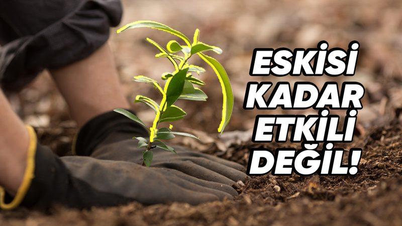 Dondurucu Soğuklardan Anlam Verilemeyen Hastalıklara: İklim Değişikliklerinin Sebep Olduğu Problemleri Artık Neden Ağaç Dikerek Çözemiyoruz?