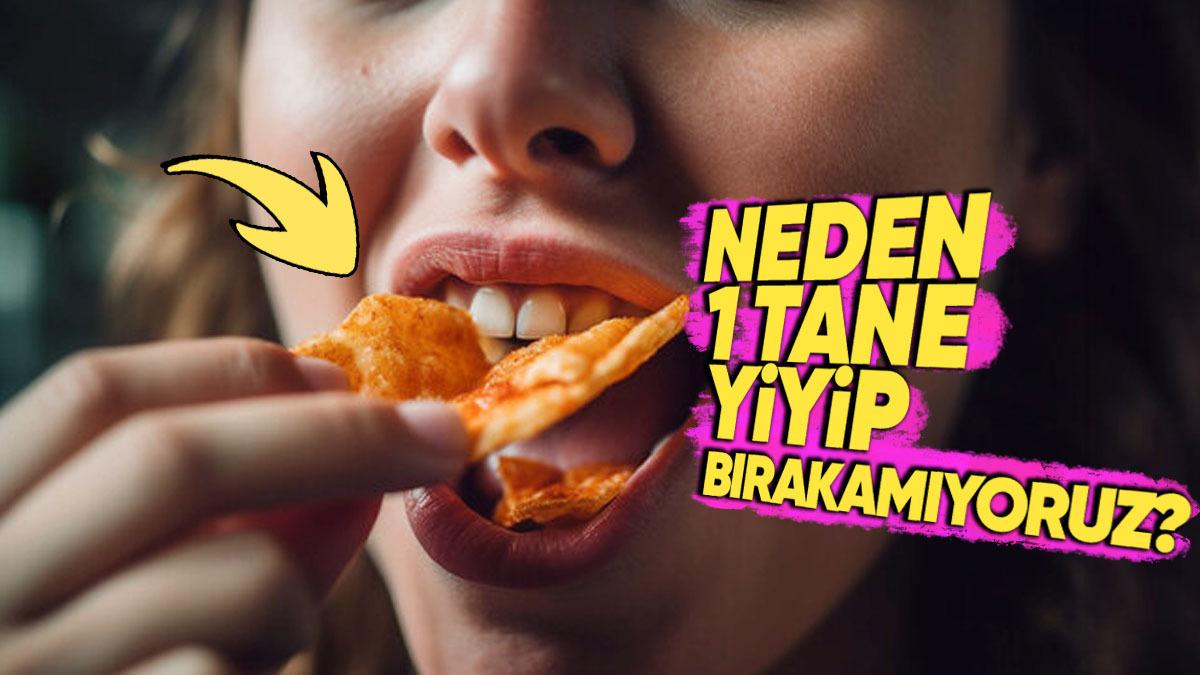 Bilime Göre Cips Yemekten Kendimizi Neden Alıkoyamıyoruz? İçeriğindeki Şeyi Çok Yakından Tanıyorsunuz!