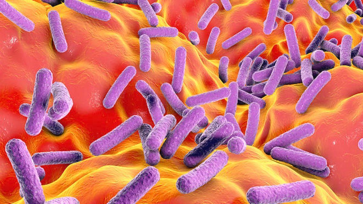 Eğer Portakal ve Limon Gibi Turunçgilleri Düzenli Tüketirseniz, Depresyon Riskinizi %22 Azaltabilirsiniz: İyi de Nasıl?