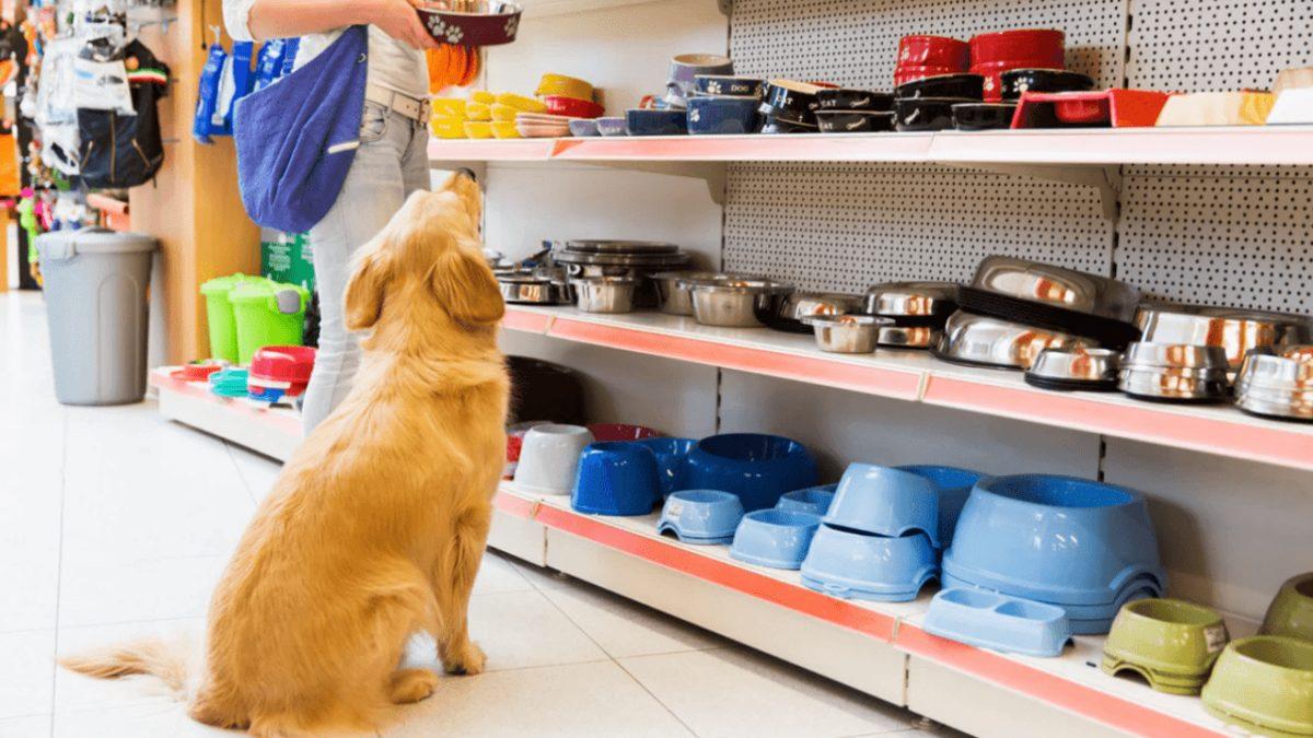 Amazon’un Çok Al & Az Öde Kampanyası Kapsamında Her Kategorinin En İyi İndirimleri