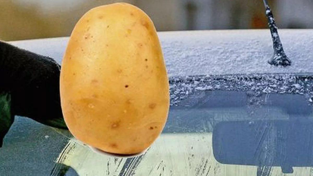Mutfağınızda Yemek Yaptığınız Malzemelerle Arabanızın Ön Camındaki Buzlanmayı Saniyeler İçerisinde Çözdürebilirsiniz!