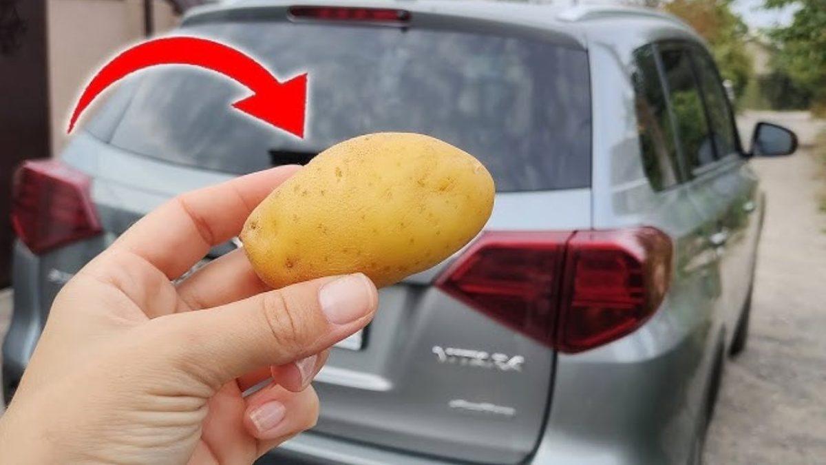 Mutfağınızda Yemek Yaptığınız Malzemelerle Arabanızın Ön Camındaki Buzlanmayı Saniyeler İçerisinde Çözdürebilirsiniz!