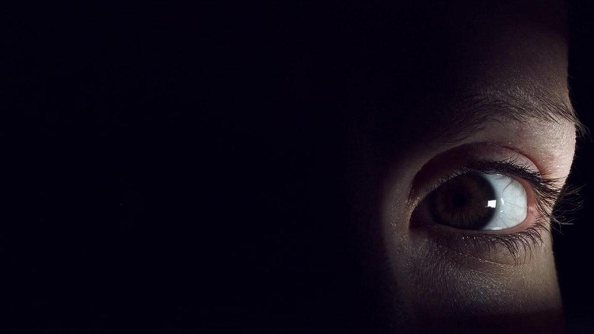 Gözlerimiz Karanlıkta Neden Kedilerinki Gibi Parlamıyor?