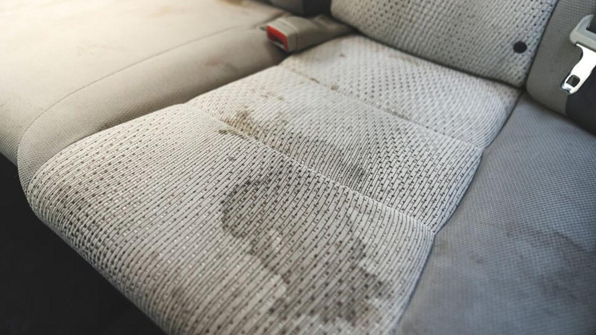 Deri mi Kumaş mı? Araba Koltukları İçin En Doğru Seçim Hangisi?