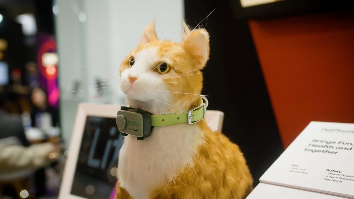 Şaka Değil Gerçek: Evcil Hayvanlar İçin Üretilen İlk Akıllı Telefon Tanıtıldı!