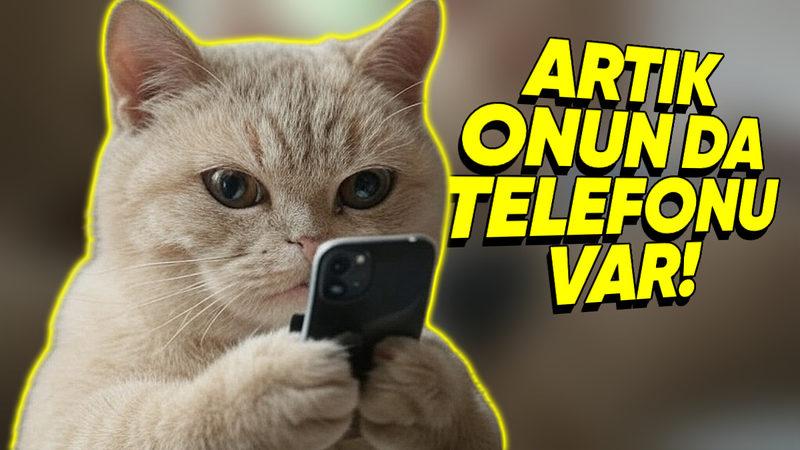 Şaka Değil Gerçek: Evcil Hayvanlar İçin Üretilen İlk Akıllı Telefon Tanıtıldı!
