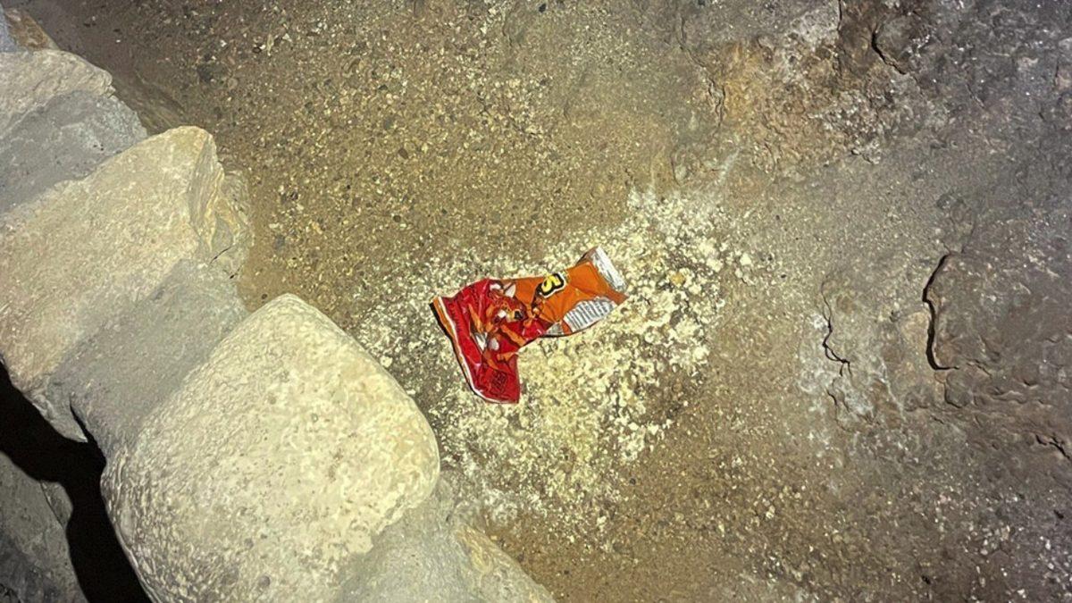 Bir Cips Paketinin Ekosistemi Nasıl Altüst Ettiğini Öğrenince Çöplerinizi Doğaya Bırakırken 2 Kez Düşüneceksiniz!