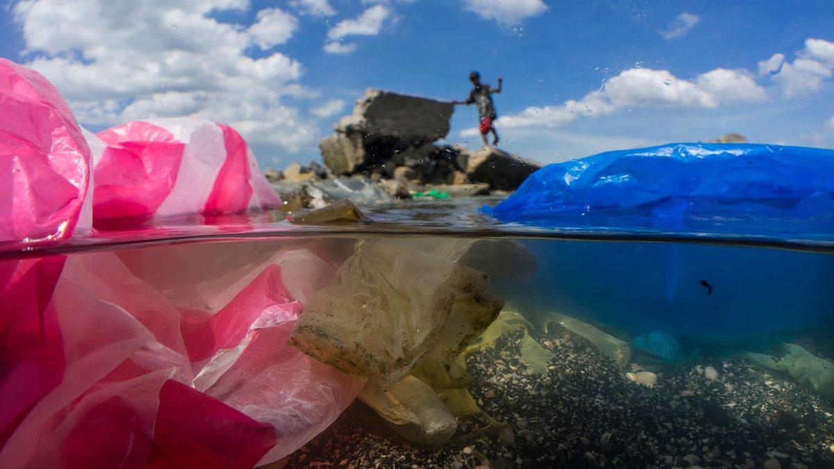 Bir Cips Paketinin Ekosistemi Nasıl Altüst Ettiğini Öğrenince Çöplerinizi Doğaya Bırakırken 2 Kez Düşüneceksiniz!