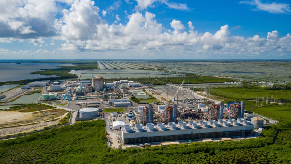 Amerika’da Yer Alan Bu Nükleer Santralde Neden Yüzlerce Timsah Var? (Hem de Ürüyorlar)