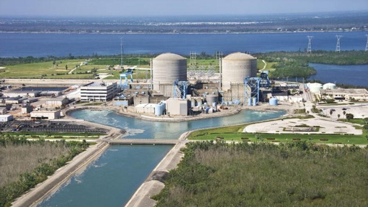 Amerika’da Yer Alan Bu Nükleer Santralde Neden Yüzlerce Timsah Var? (Hem de Ürüyorlar)