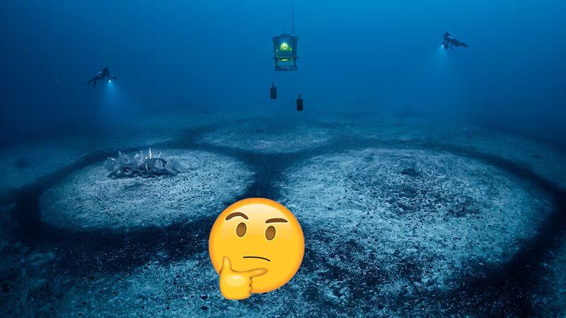 Akdeniz’in Tabanındaki Bu 1.300 Kusursuz Daire Aslında Neyin Nesi? Ne Zamandan Beri Oradalar?