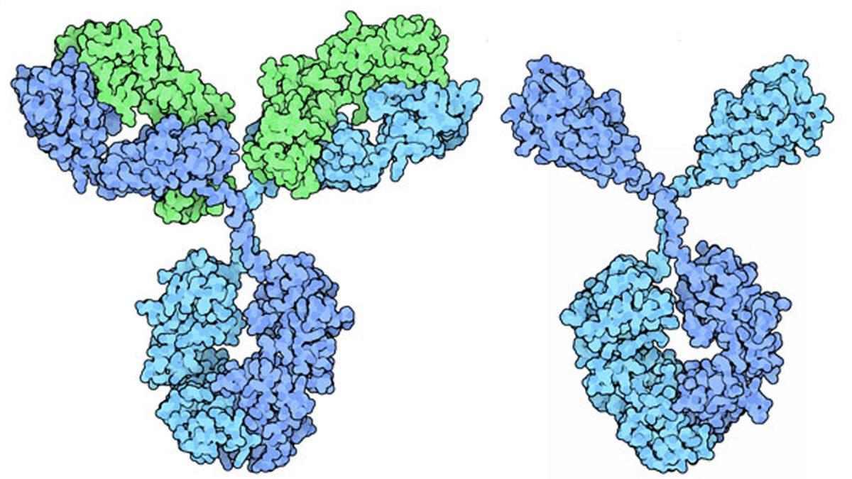 Kanser Tedavisinde Neden Develere İhtiyacımız Var? Mucizevi Bir Özelliğe Sahipler!