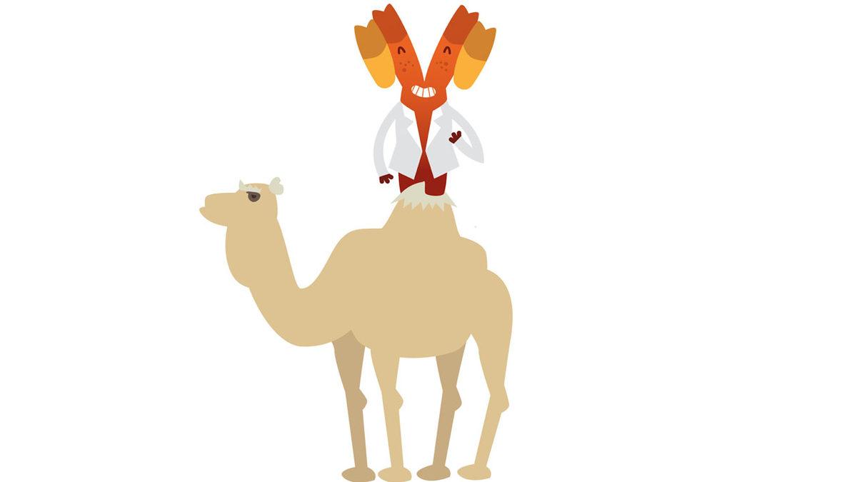 Kanser Tedavisinde Neden Develere İhtiyacımız Var? Mucizevi Bir Özelliğe Sahipler!