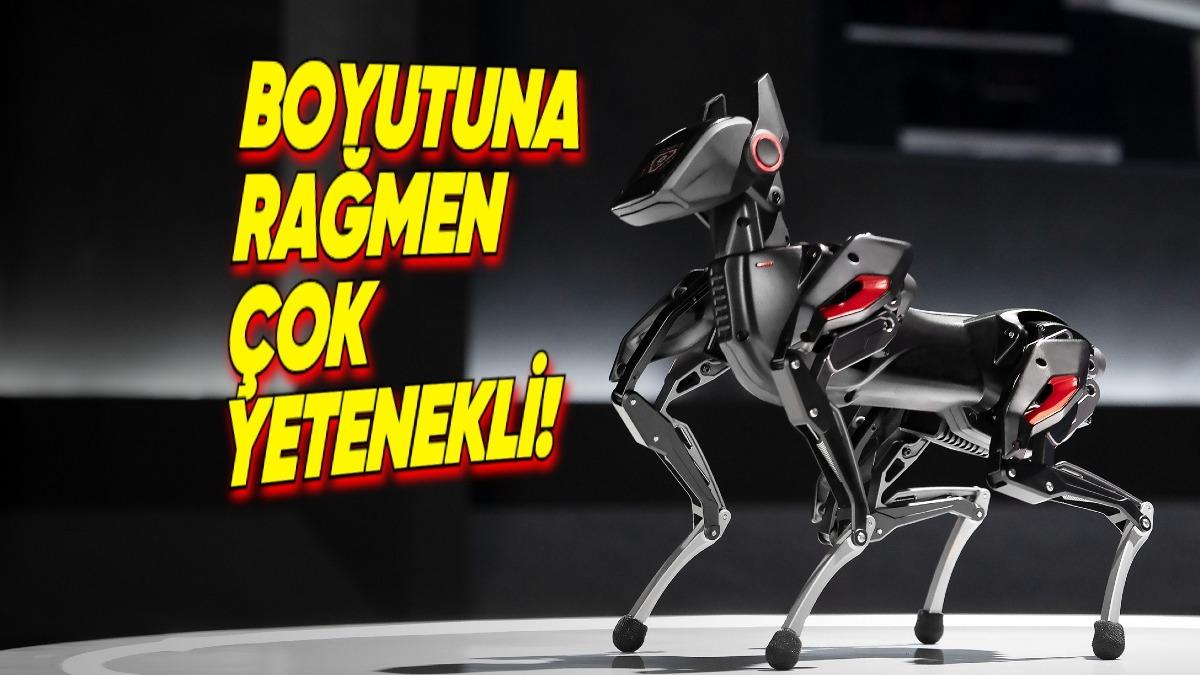 Zıplayıp Dans Edebilen Avucunuza Sığacak Kadar Küçük Robot Köpek "Sparky" Tanıtıldı!