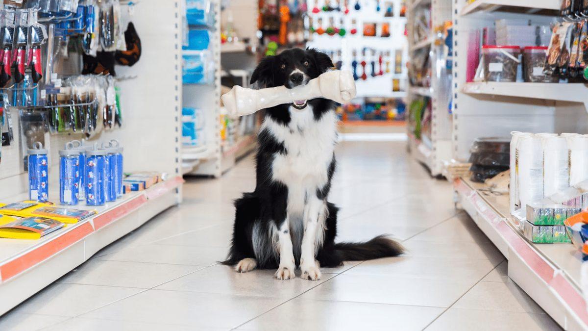 Amazon’da 500 TL’ye Sepette %15 İndirim Kampanyasında Son Gün! İşte Göz Atmanız Gereken Fırsatlar