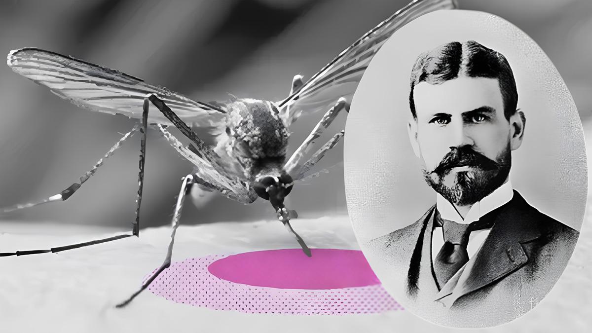 Sarıhummanın Sivrisineklerden Bulaştığını Kanıtlamak Uğruna Kendini Bu Canlılara Feda Eden Bilim İnsanı: Jesse William Lazear