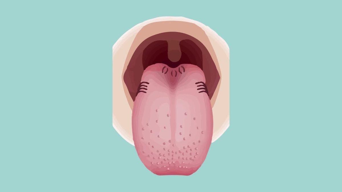 Bilime Göre İnsan ’Cildinin’ Sahip Olduğu Akıl Almaz Yetenek: Tat Alma!