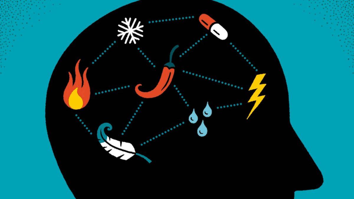 Bilime Göre İnsan ’Cildinin’ Sahip Olduğu Akıl Almaz Yetenek: Tat Alma!