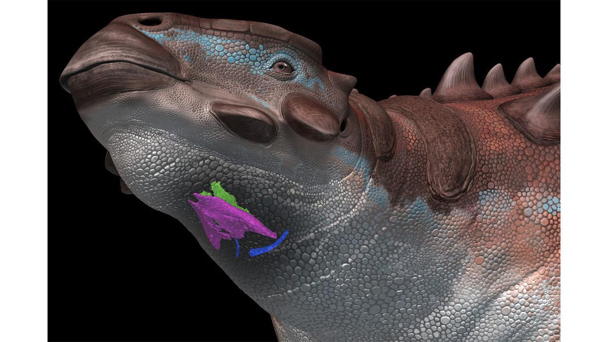 Dinozorlar Nasıl Bir Ses Çıkarıyordu? Hayır, Jurassic Park’taki Gibi Değil!