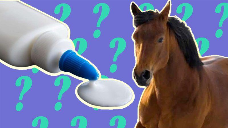 Bir Zamanlar Tutkal Yapmak İçin Neden Atlara İhtiyaç Vardı? Peki Hâlâ Var mı?