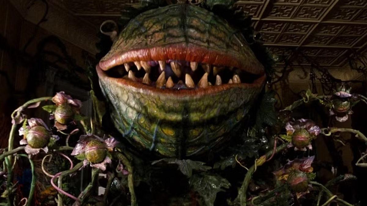 Bazı Ülkelerde Mutlu, Bazılarında Trajik: Filmlerin Sonları Neden Ülkelere Göre Değişiyor?