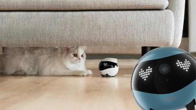 Evde Değilken Bile Evcil Hayvanınızla İletişim Kurmanızı Sağlayan Akıllı Ev Robotu: EBO Air 2