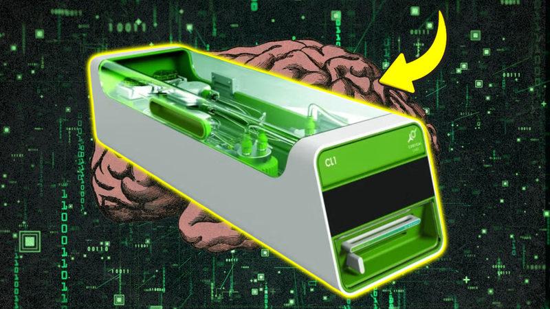 Laboratuvarda Üretilmiş Bir İnsan Beyninden Güç Alan Bilgisayar Üretildi: Tam 35 Bin Dolara Satılıyor!