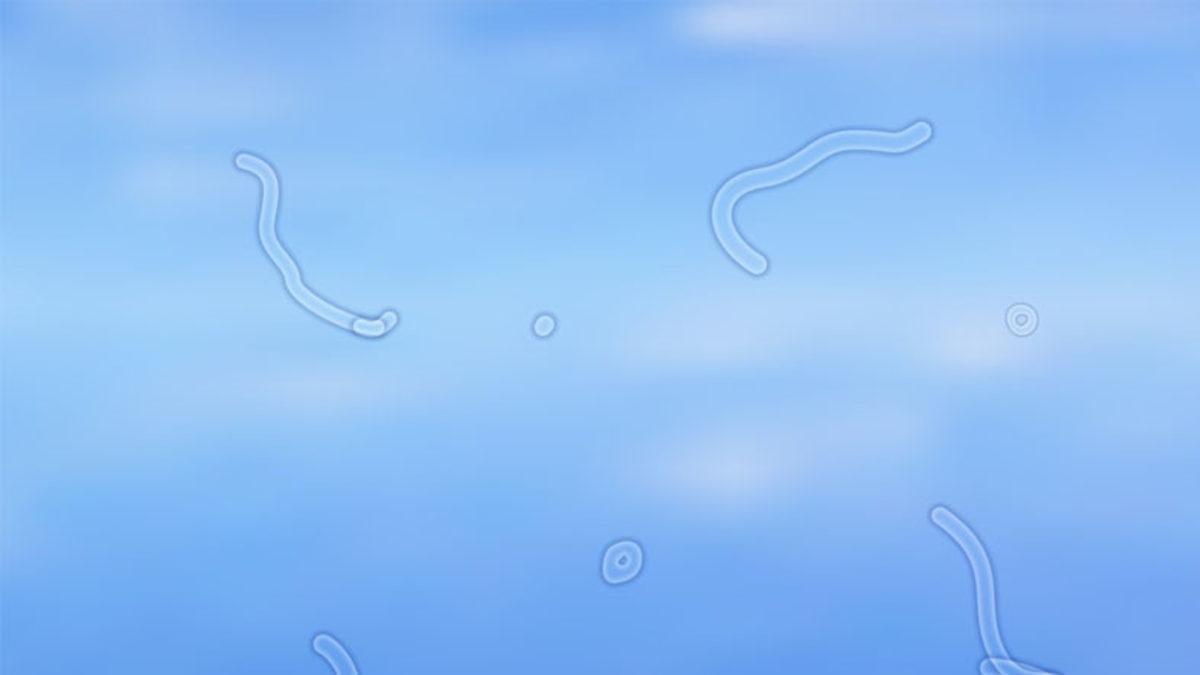 Bir Yere Uzun Süre Baktıktan Sonra Neden Her Yerde Garip Garip Şeyler Görmeye Başlarız?