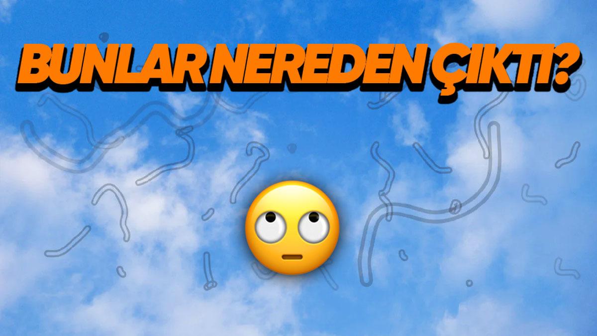 Bir Yere Uzun Süre Baktıktan Sonra Neden Her Yerde Garip Garip Şeyler Görmeye Başlarız?