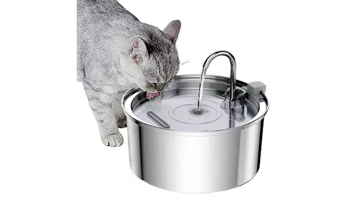 Kedinizin Mutlu Olmasını İstiyorsanız Bunları Mutlaka Yapmalısınız! İşte Pratik Öneriler