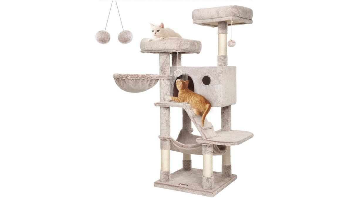 Kedinizin Mutlu Olmasını İstiyorsanız Bunları Mutlaka Yapmalısınız! İşte Pratik Öneriler