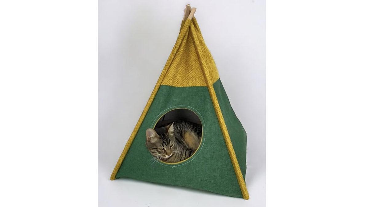 Kedinizin Mutlu Olmasını İstiyorsanız Bunları Mutlaka Yapmalısınız! İşte Pratik Öneriler