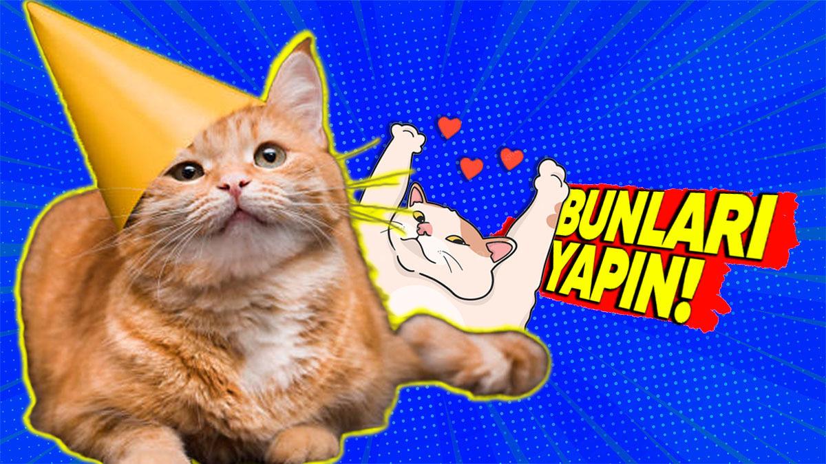 Kedinizin Mutlu Olmasını İstiyorsanız Bunları Mutlaka Yapmalısınız! İşte Pratik Öneriler