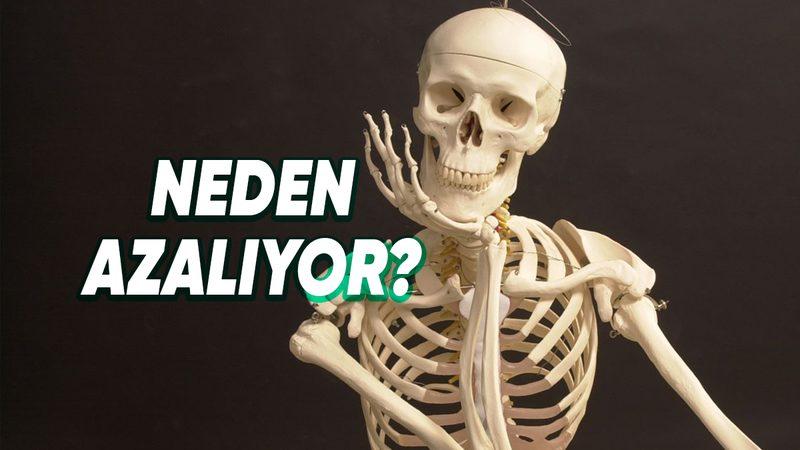 Bir İnsan Nasıl Oluyor da 300 Kemikle Doğup 206 Kemikle Ölüyor? Azaldığını da Hiç Hissetmedik!