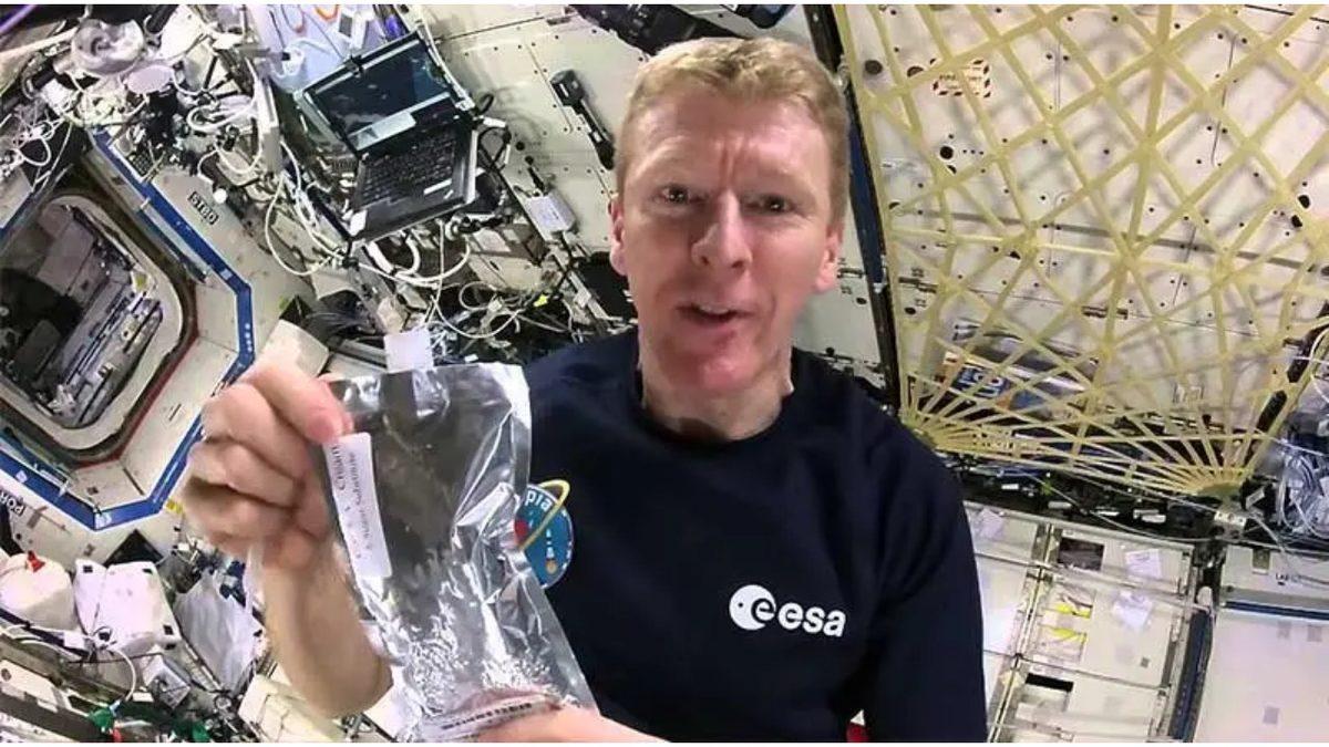 Tuvalete Gitmekten Uyumaya: Uzayda Yapılması Çok Zor Olan 9 Günlük Görev