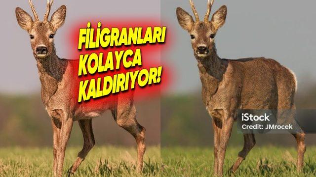 Google’ın Yapay Zeka Aracı Gemini, Telif Hırsızlarına Maşa Oldu: Görsellerdeki Fligranları Kolayca Kaldırıyor!