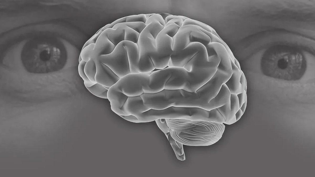 Beyin Yaşlanması Tam Olarak Hangi Yaşlarda Başlıyor? Peki Etkileri Nasıl Azaltılabilir?