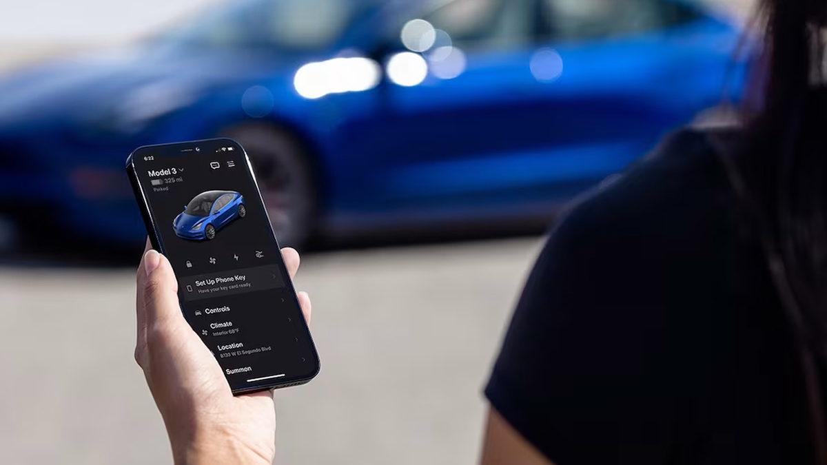 Baş Belası mı? Neden Hırsızlar Tesla Arabaları Çalmaktan Uzak Duruyor?