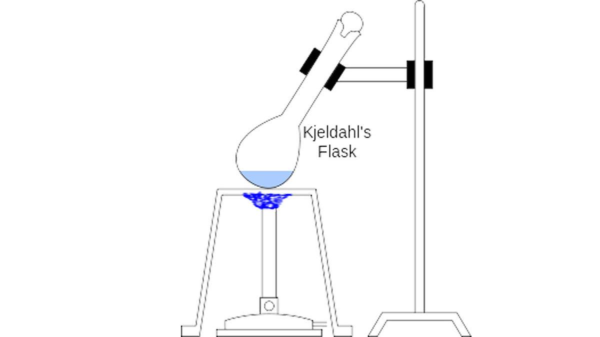 Besinlerdeki Protein Miktarı Nasıl Ölçülebiliyor? Mesela 100 gr Mercimekte 9 gr Protein Olduğunu Nereden Biliyoruz?