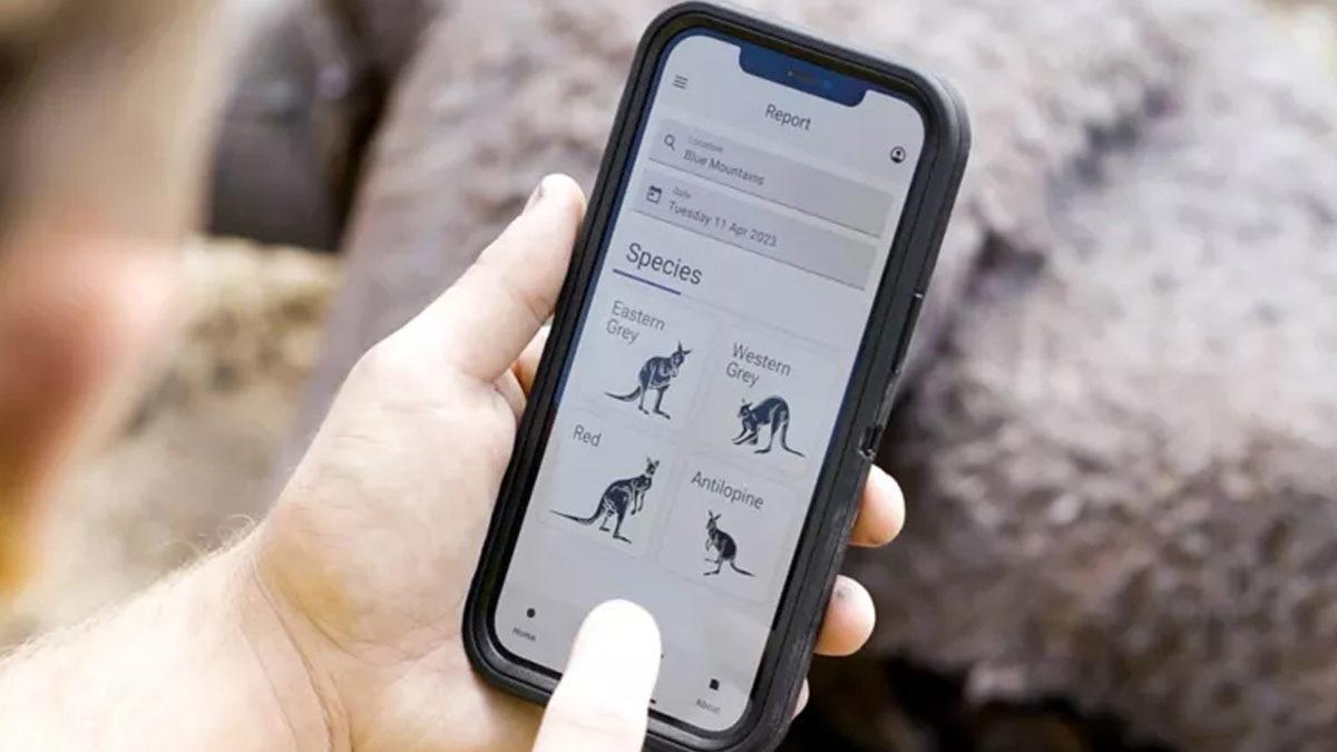 Sıradan Bir Logo Değil: Volkswagen Neden Özellikle Avustralya’da Ses Çıkarabilen Logolar Kullanıyor?