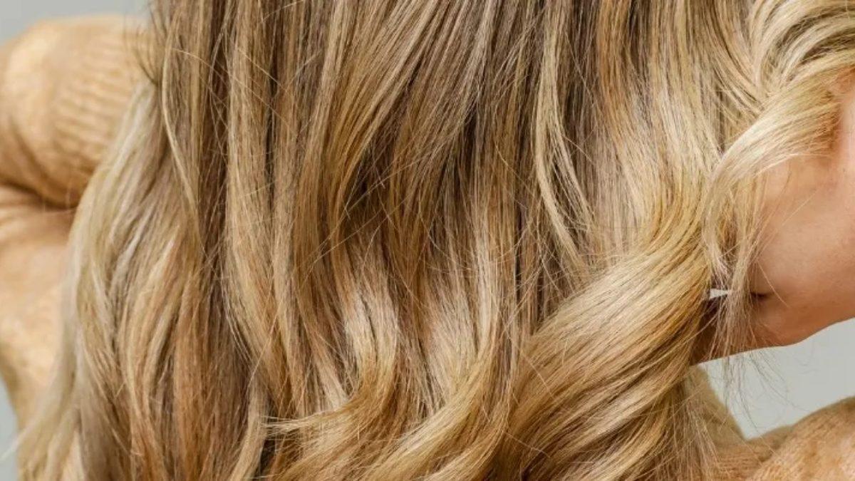 Doğal Saç Renkleri Neden Sarı, Kahverengi ve Siyahın Tonları İle Sınırlı, Niye Hiç Başka Renk Yok?